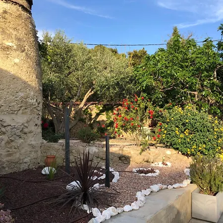 : La Cave Des Violettes
